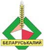 Белоруськалий